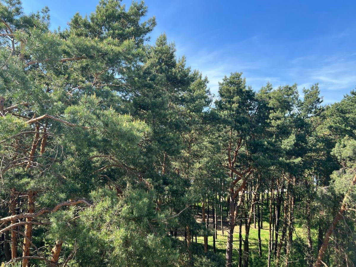 Family&Business Sauna Tężnia Apartments No 20 Leśny nad Zalewem z Balkonem i Parkingiem oraz możliwością wyżywienia - Exclusive New! Kielce Zewnętrze zdjęcie