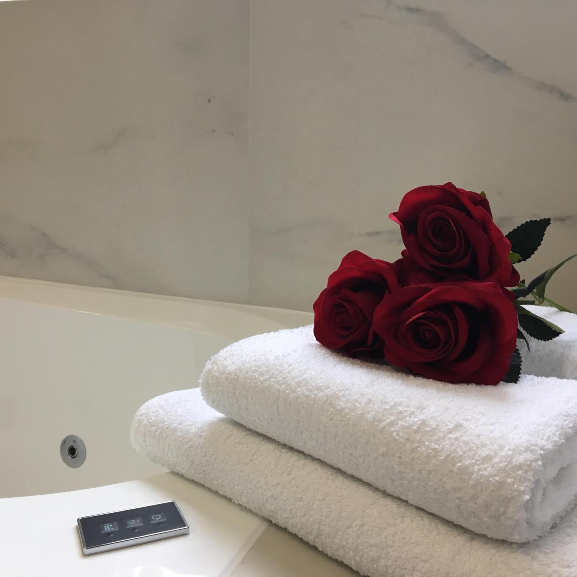 Family&Business Sauna Tężnia Apartments No 20 Leśny nad Zalewem z Balkonem i Parkingiem oraz możliwością wyżywienia - Exclusive New! Kielce Zewnętrze zdjęcie